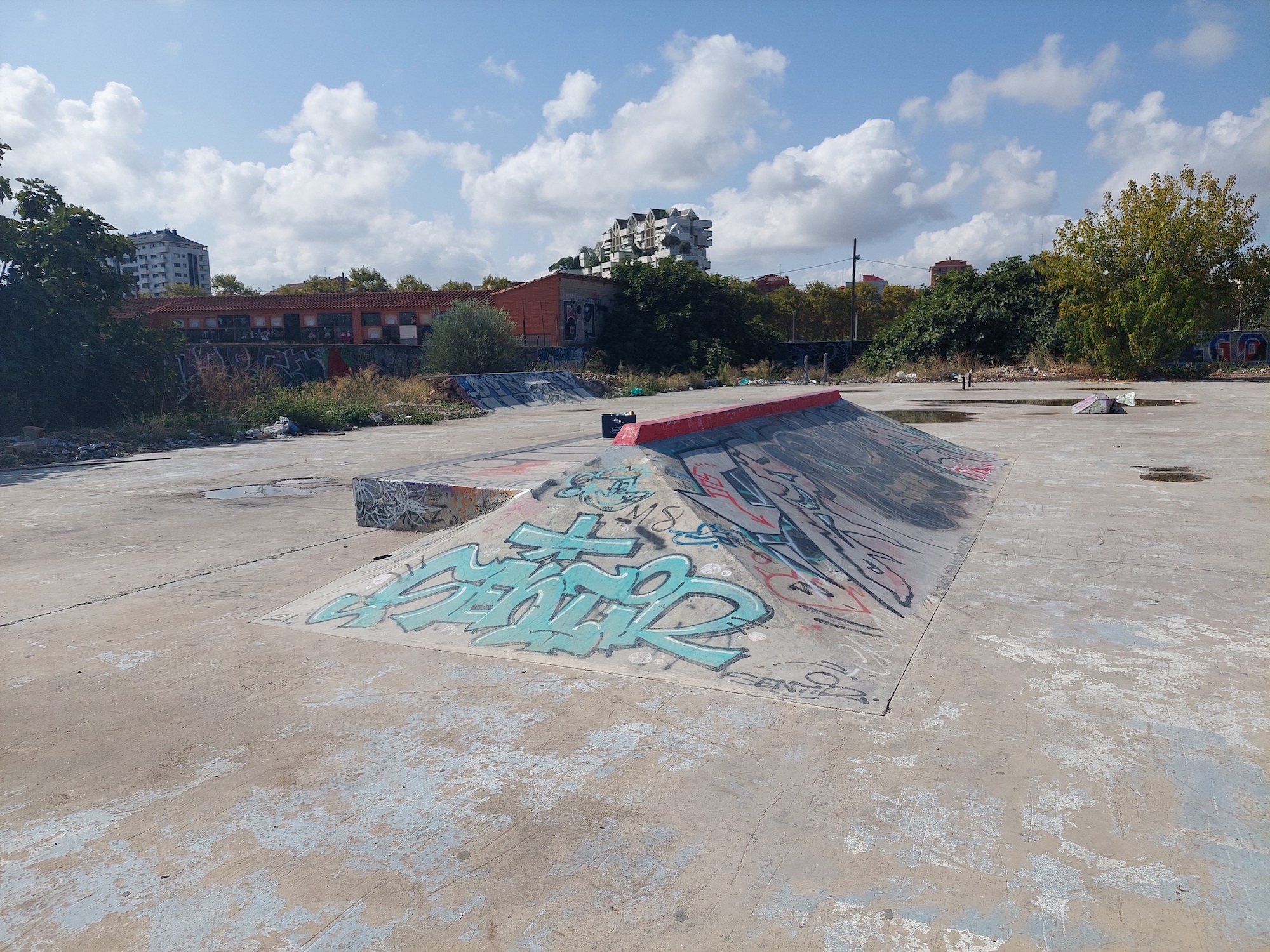 Cementerio DIY skatepark